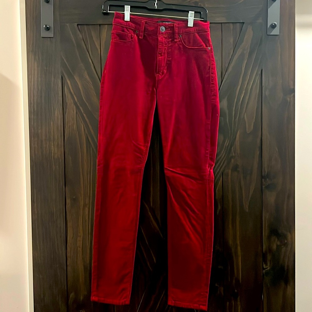 Hudson Velvet Skinny Pant
